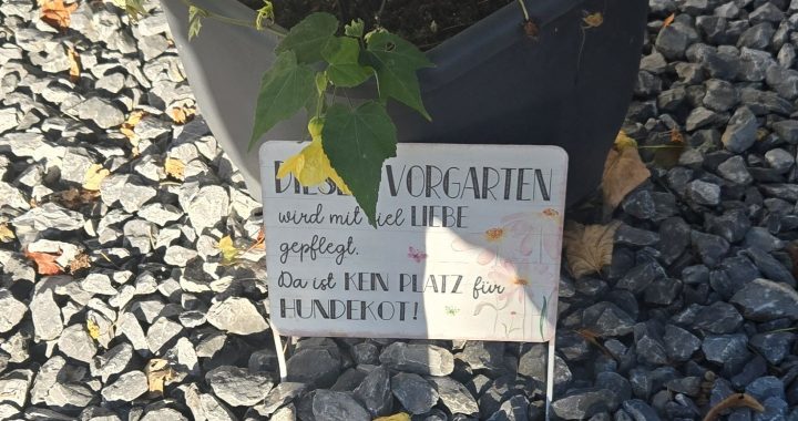 Dieser Vorgarten wir mit Liebe gepflegt